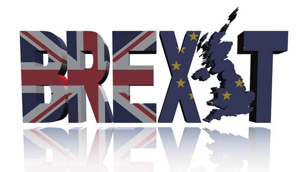 Does the wisdom of Monty Python hold the key to forthcoming Brexit vote?