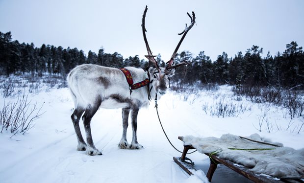 BBC4 goes slow with ‘All Aboard: The Sleigh Ride’