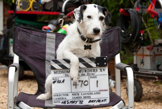 R.I.P. Sykes — DCI John Barnaby’s loyal sidekick on ‘Midsomer Murders’ passes away at 16.